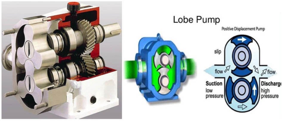 Lobe pump working principle