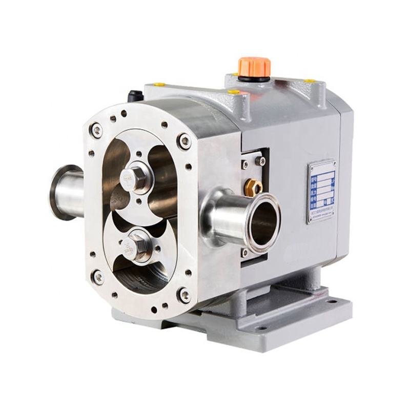 rotary lobe pump