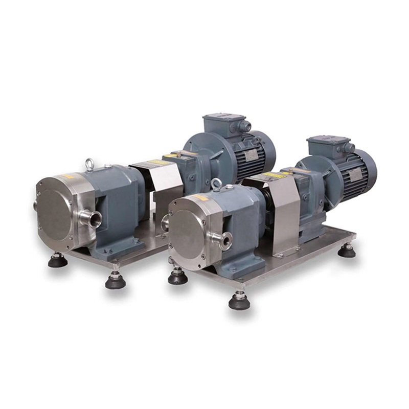 lobe pump for slurry