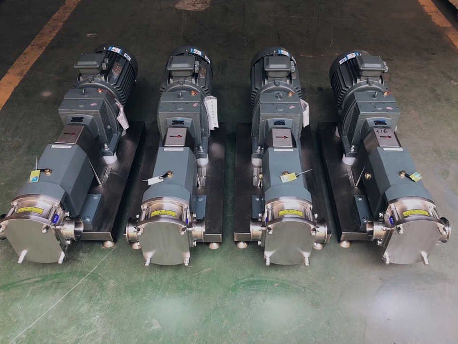 rotary lobe pump