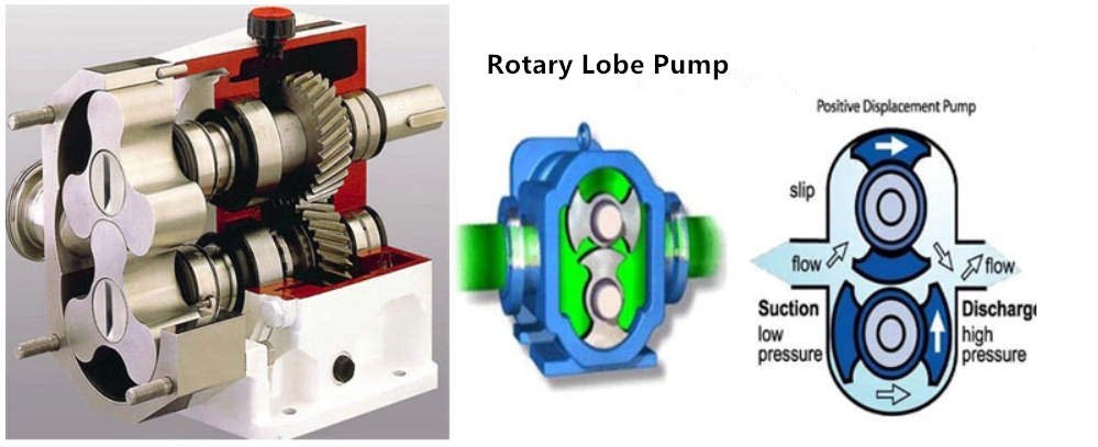 section drawing of rotary lobe pump