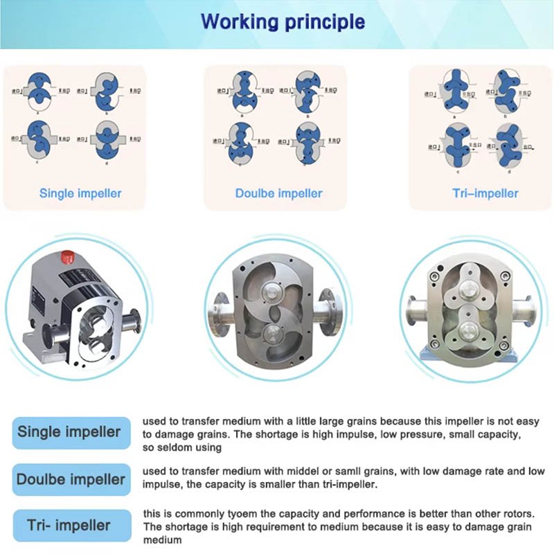 working principal for sanitary rotary lobe pump