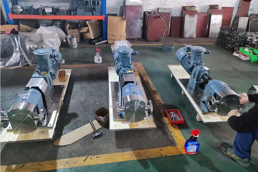 rotary lobe pump assembly
