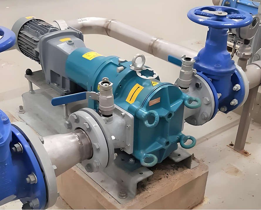 rotary lobe pump site